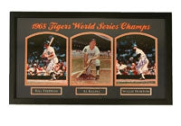MLB Signed Collectibles