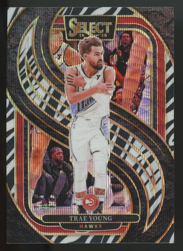 2024-25 Panini Select Trae Young Premier Level Zebra Prizm SSP #123