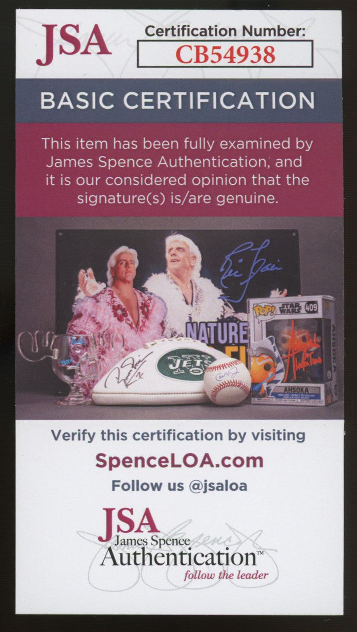2019 USA Stars & Stripes Riley Greene Longevity #88 Signed Auto JSA