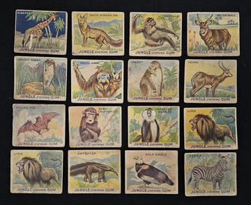 1933 Jungle Gum Trading Cards (Lot Of 32 W/ Dupes) Low Grade