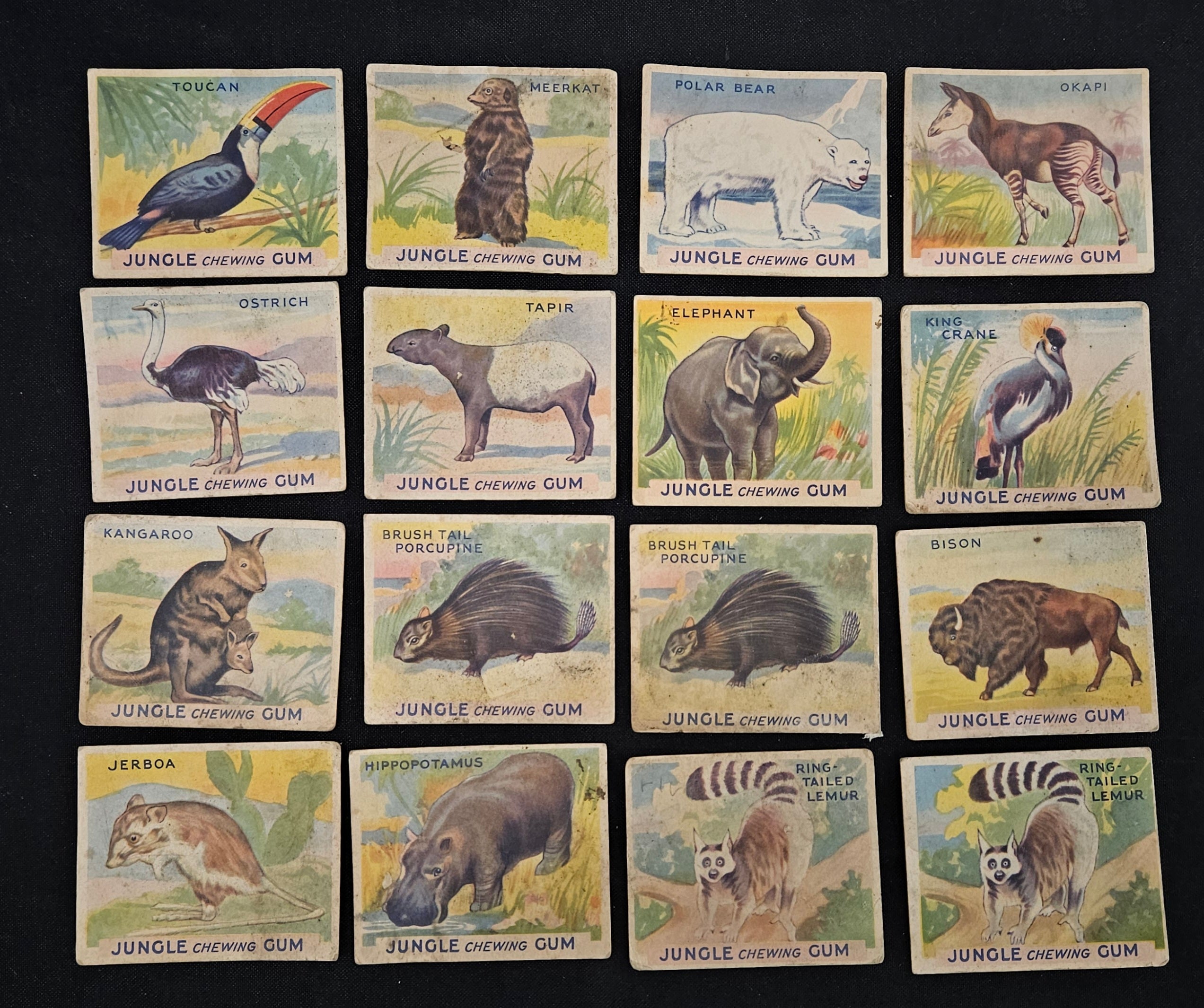 1933 Jungle Gum Trading Cards (Lot Of 32 W/ Dupes) Low Grade