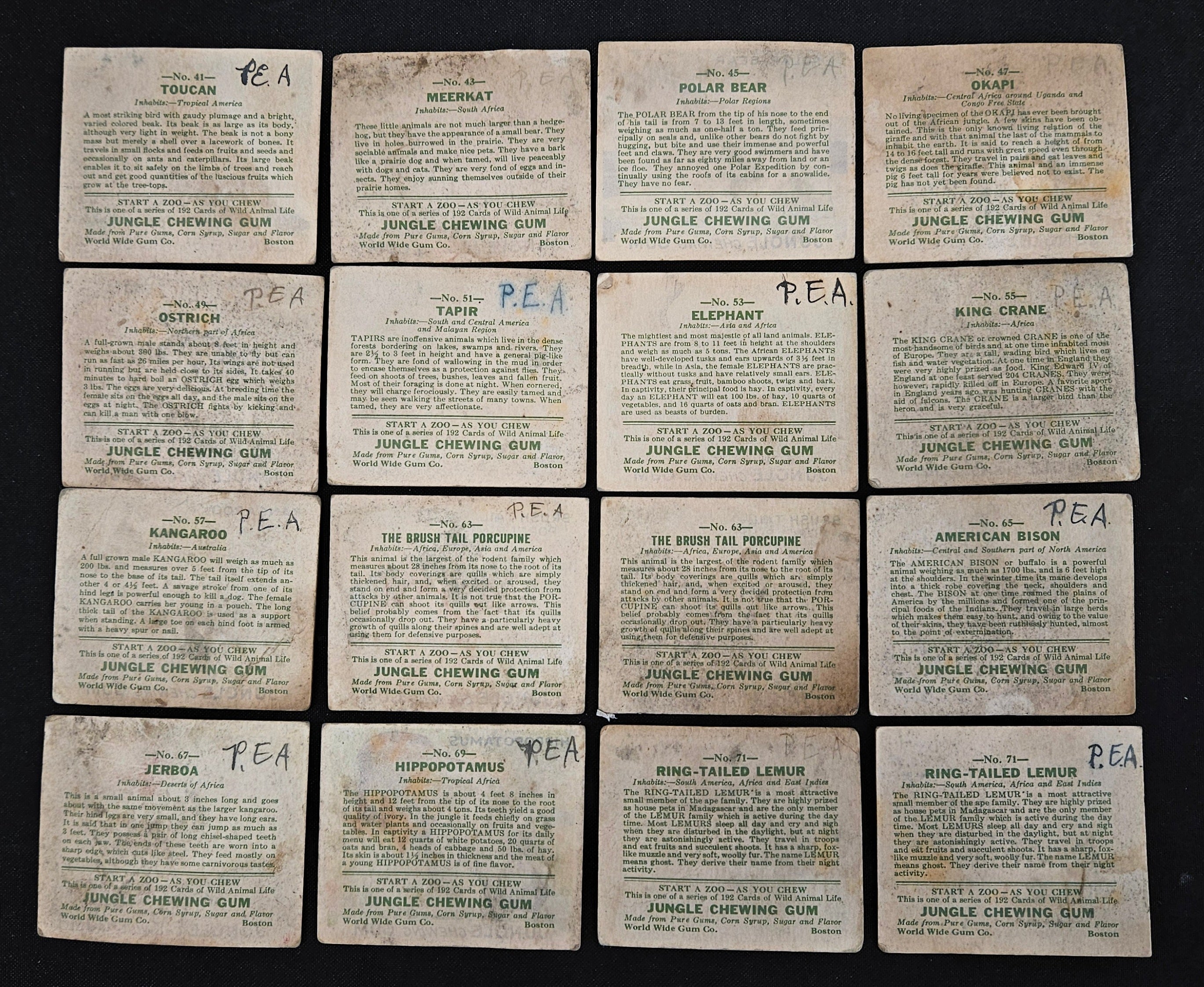 1933 Jungle Gum Trading Cards (Lot Of 32 W/ Dupes) Low Grade