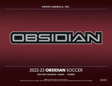 2022/23 Panini Obsidian Soccer Hobby Case (12)