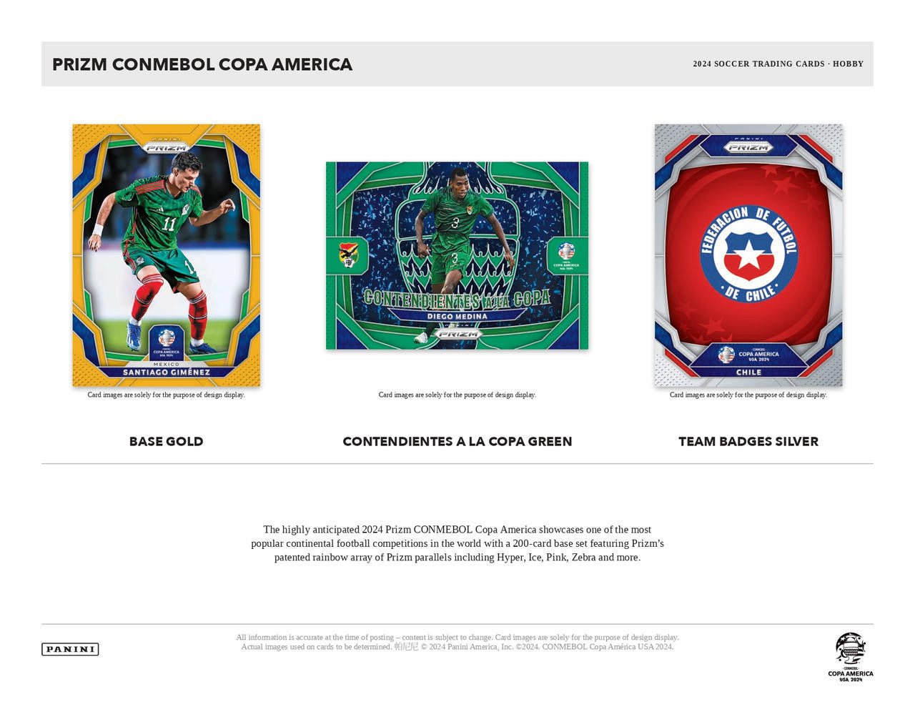 2024 Panini Prizm Copa America Soccer Hobby Case (12)