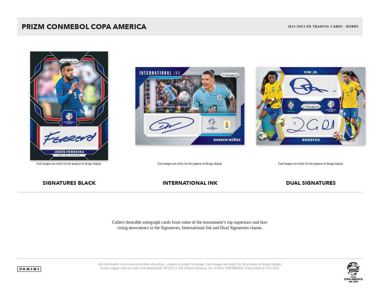 2024 Panini Prizm Copa America Soccer Hobby Case (12)