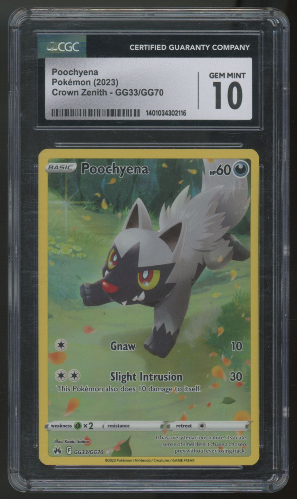 2023 Pokemon Poochyena Crown Zenith Holo #GG33 CGC 10