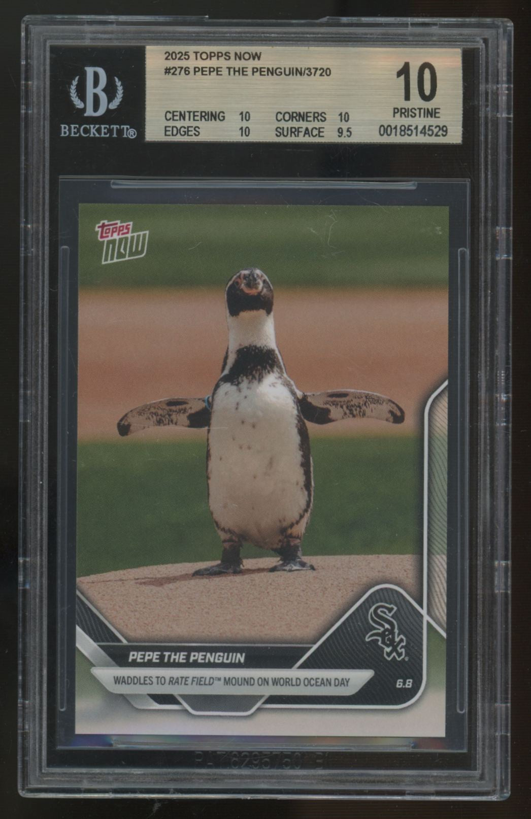 2025 Topps Now Pepe The Penguin #276 BGS 10