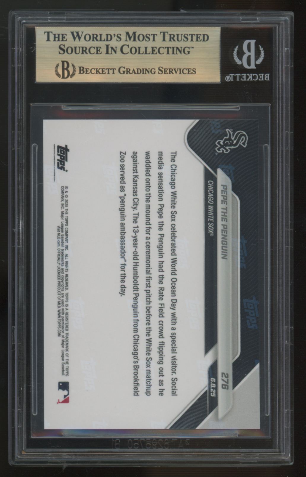 2025 Topps Now Pepe The Penguin #276 BGS 10