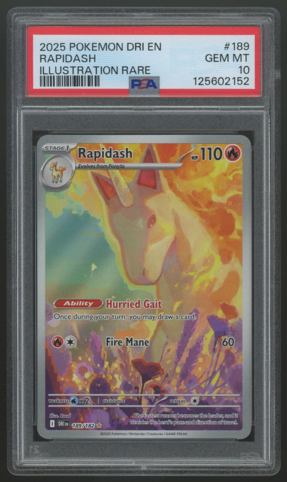 2025 Pokemon Rapidash Destined Rivals Illustration Rare #189 PSA 10