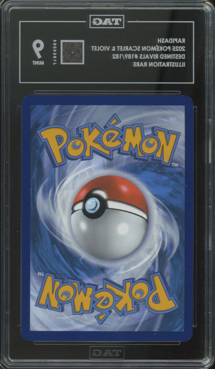 2025 Pokemon Rapidash Destined Rivals Illustration Rare #189 TAG 9
