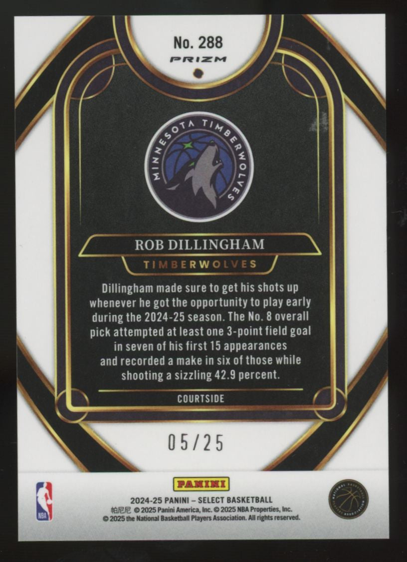 2024-25 Panini Select Rob Dillingham RC Courtside Tie-Dye Prizm /25 #288