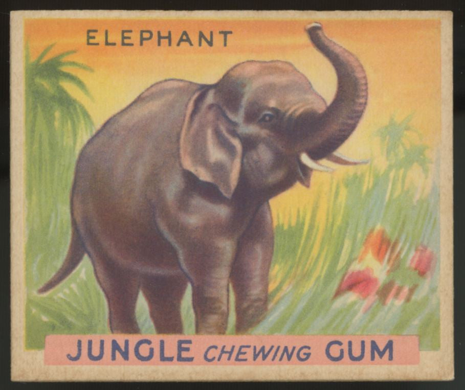 1930 R78 World Wide Gum Elephant Jungle Gum #53 NM