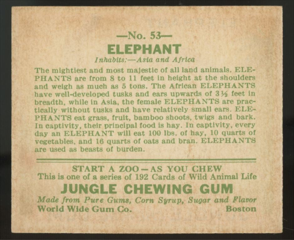 1930 R78 World Wide Gum Elephant Jungle Gum #53 NM