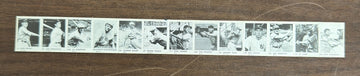 1950 R423 Strip Cobb DiMaggio Feller Sisler Mize Waner Mathewson ++
