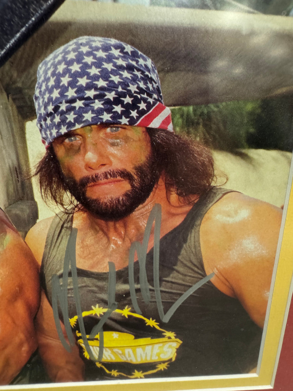 WCW The Hulkamaniacs Poster Signed Autograph JSA Hulk Hogan, Macho Man, Vader, Sting