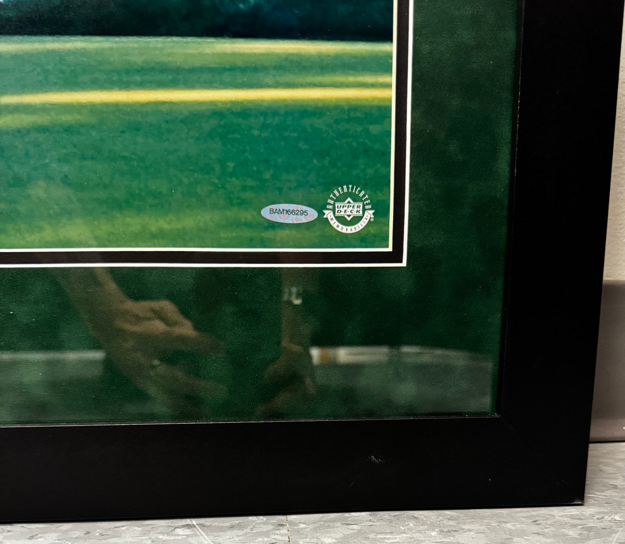 Tiger Woods Signed Autographed Print UDA Azalea 30x40 Framed