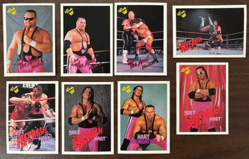 1990 WWF Classic Bret Hitman Hart and Hart Foundation Card Lot VG