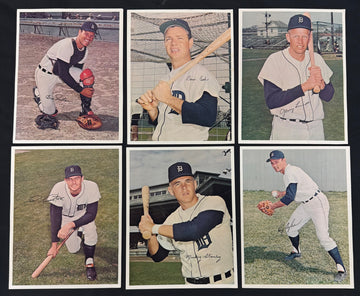 1966 Detroit Tigers Picture Photo Pack (12) Horton Lolich Cash ++