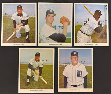 1969 Detroit Tigers Picture Photo Pack Set "A" (10) Kaline Cash ++
