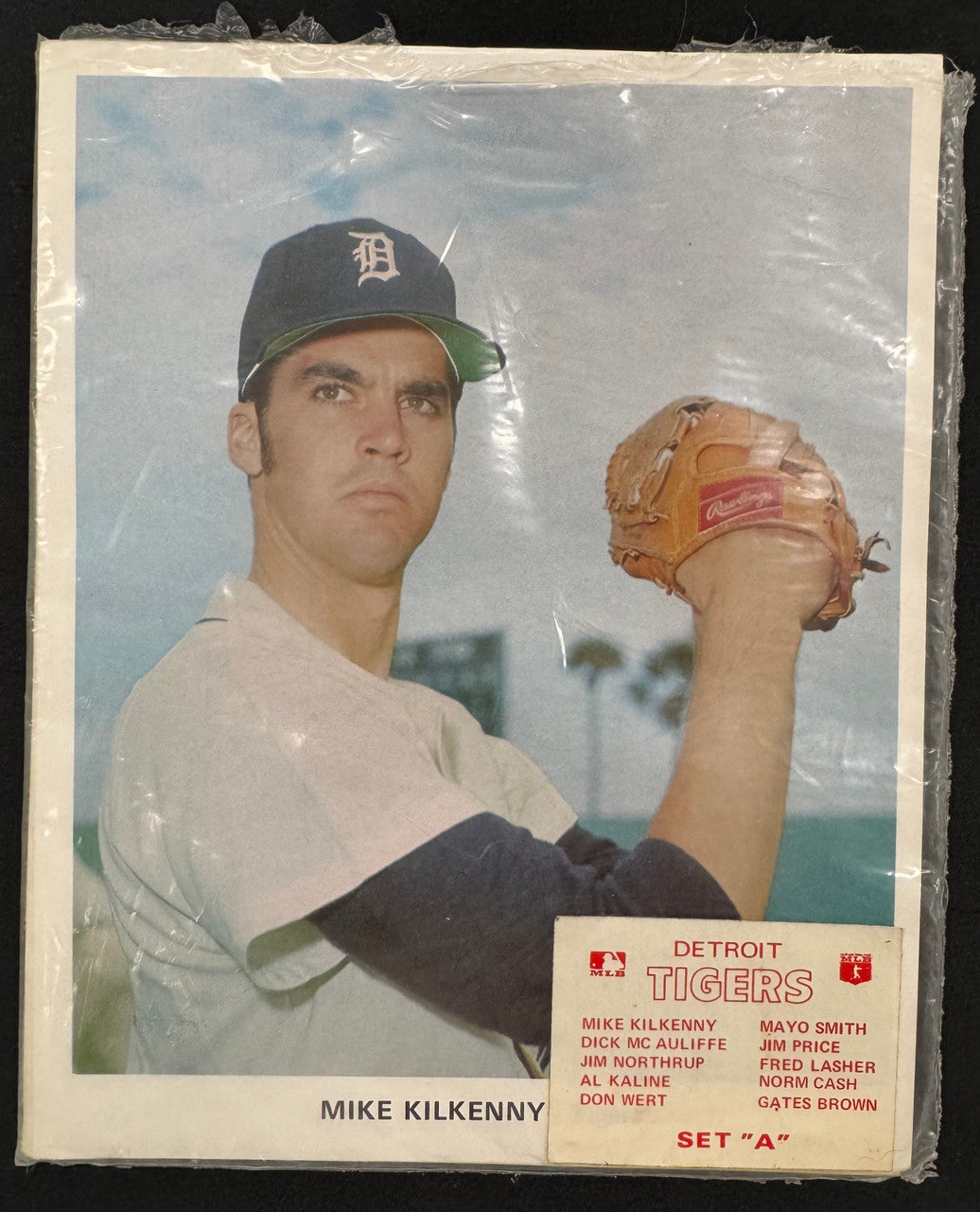1969 Detroit Tigers Picture Photo Pack Set "A" (10) Kaline Cash ++