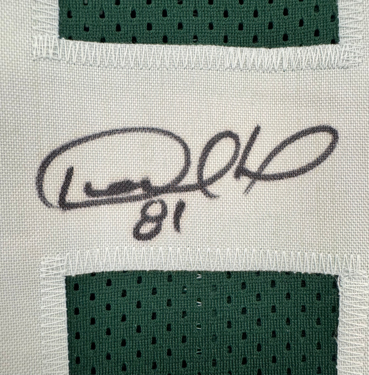 Desmond Howard Signed Autographed Custom Packers Jersey JSA