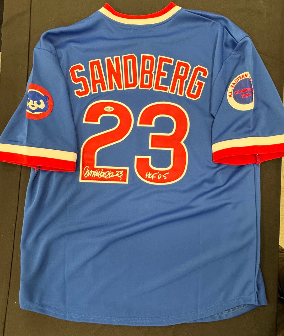 Ryne Sandberg Signed Autographed Inscribed Mitchell & Ness Cubs Jersey Sz 52 JSA