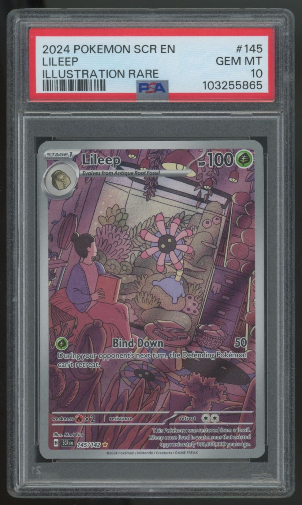 2024 Pokemon Lileep Stellar Crown Illustration Rare #145 PSA 10 (B)
