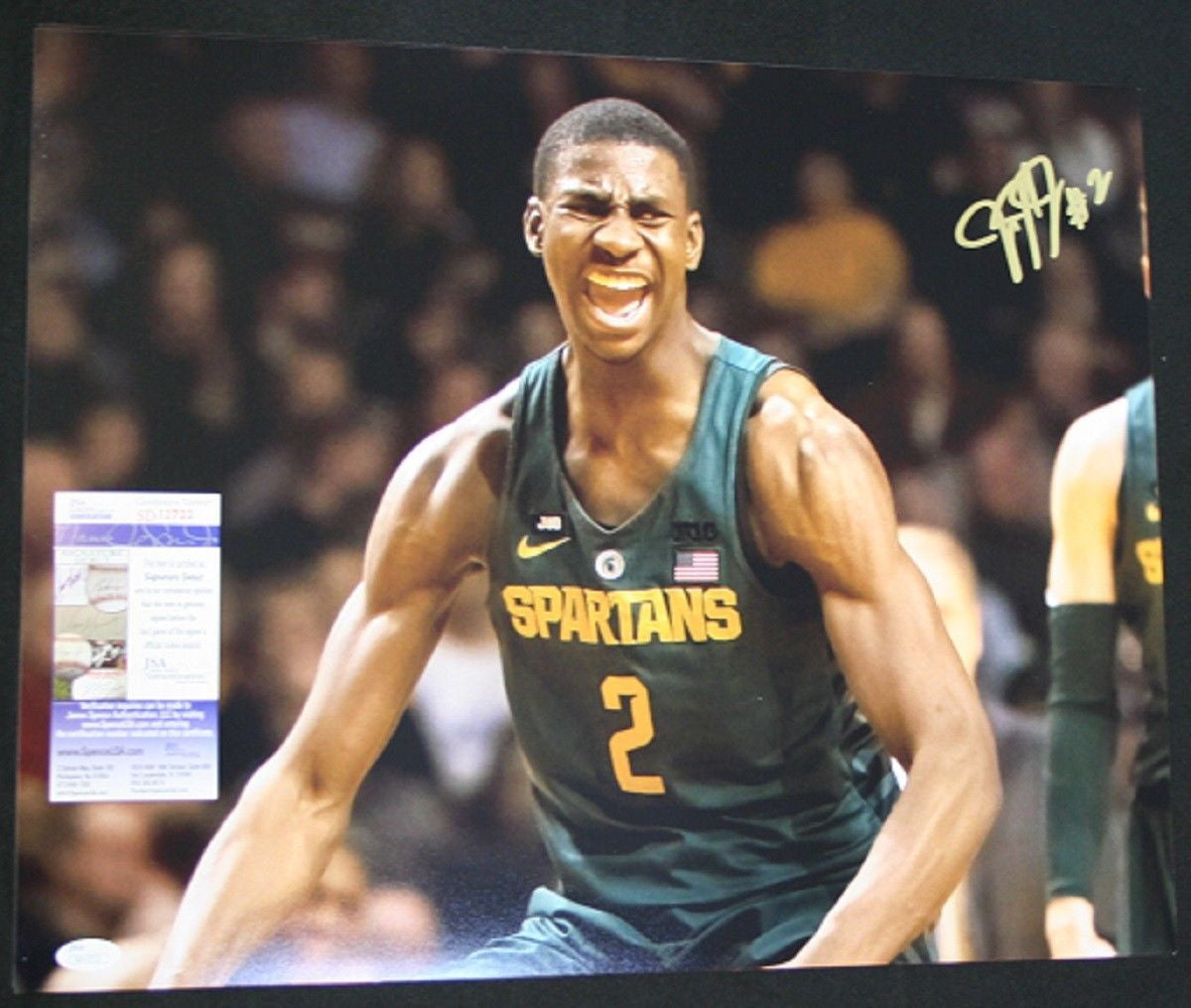 Jaren Jackson Jr. MSU State Spartans Autographed Signed 16x20 Green Jersey Photo JSA Certified