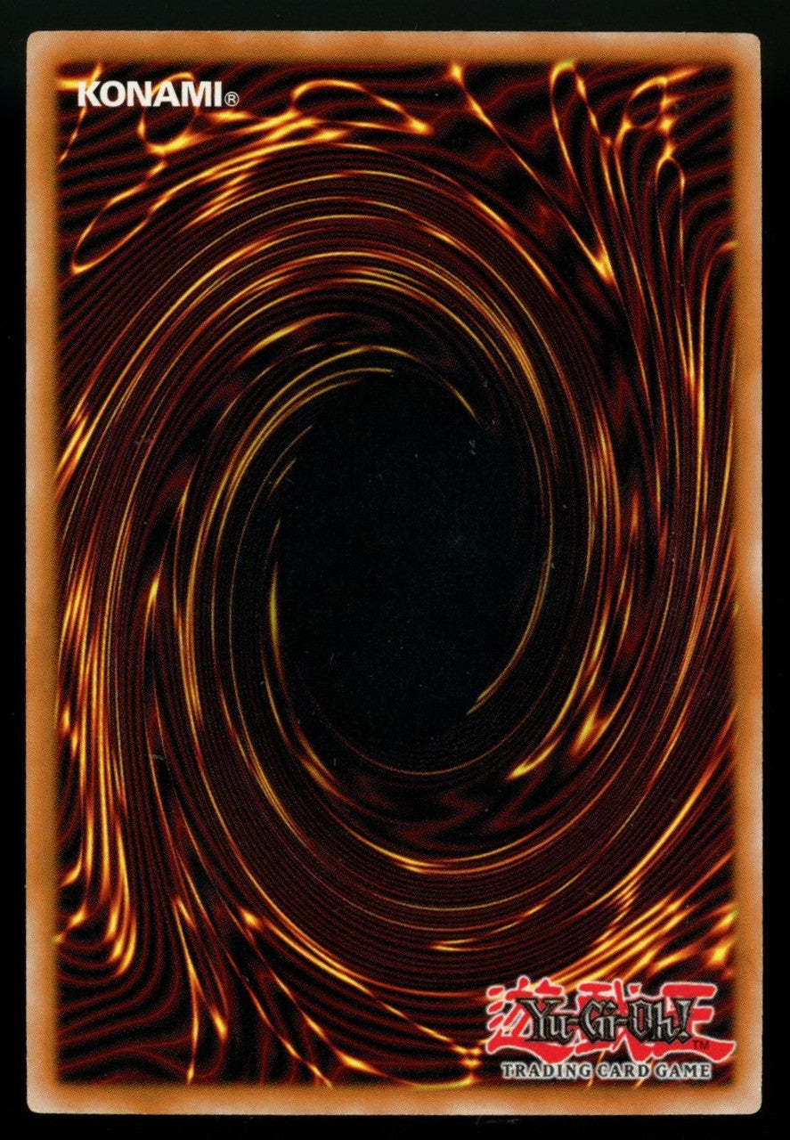 Yugioh Black-Winged Dragon 1st Edition Ultra Rare #TSHD-EN040