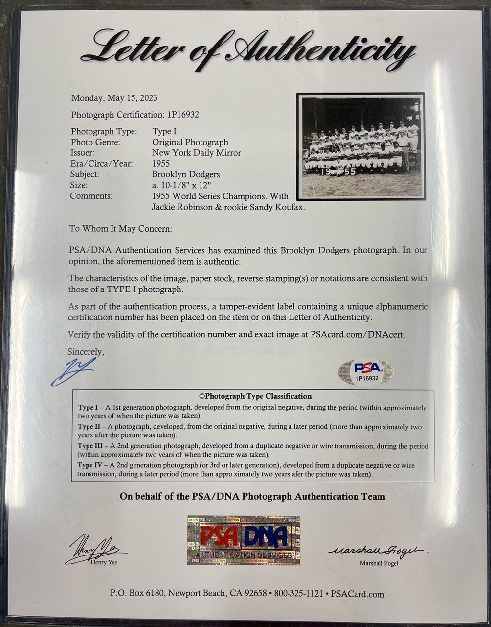 1955 Brooklyn Dodgers World Champions 10 x 12 Type 1 Photo PSA Authenticated