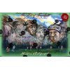 2013 Historic Autographs ??? Art of Baseball Box