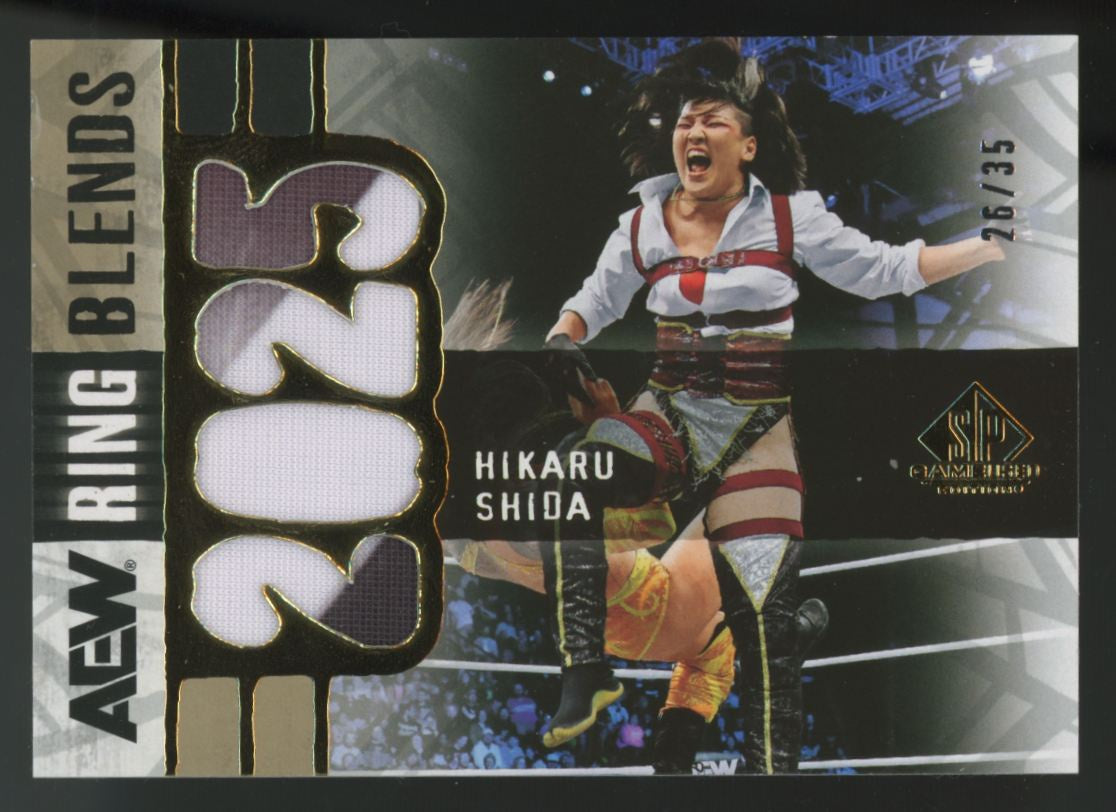 2025 SP Game Used AEW Hikaru Shida Ring Blends Patch #RB-HS