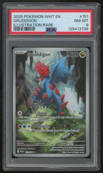 2025 Pokemon Druddigon White Flare Illustration Rare #151 PSA 8
