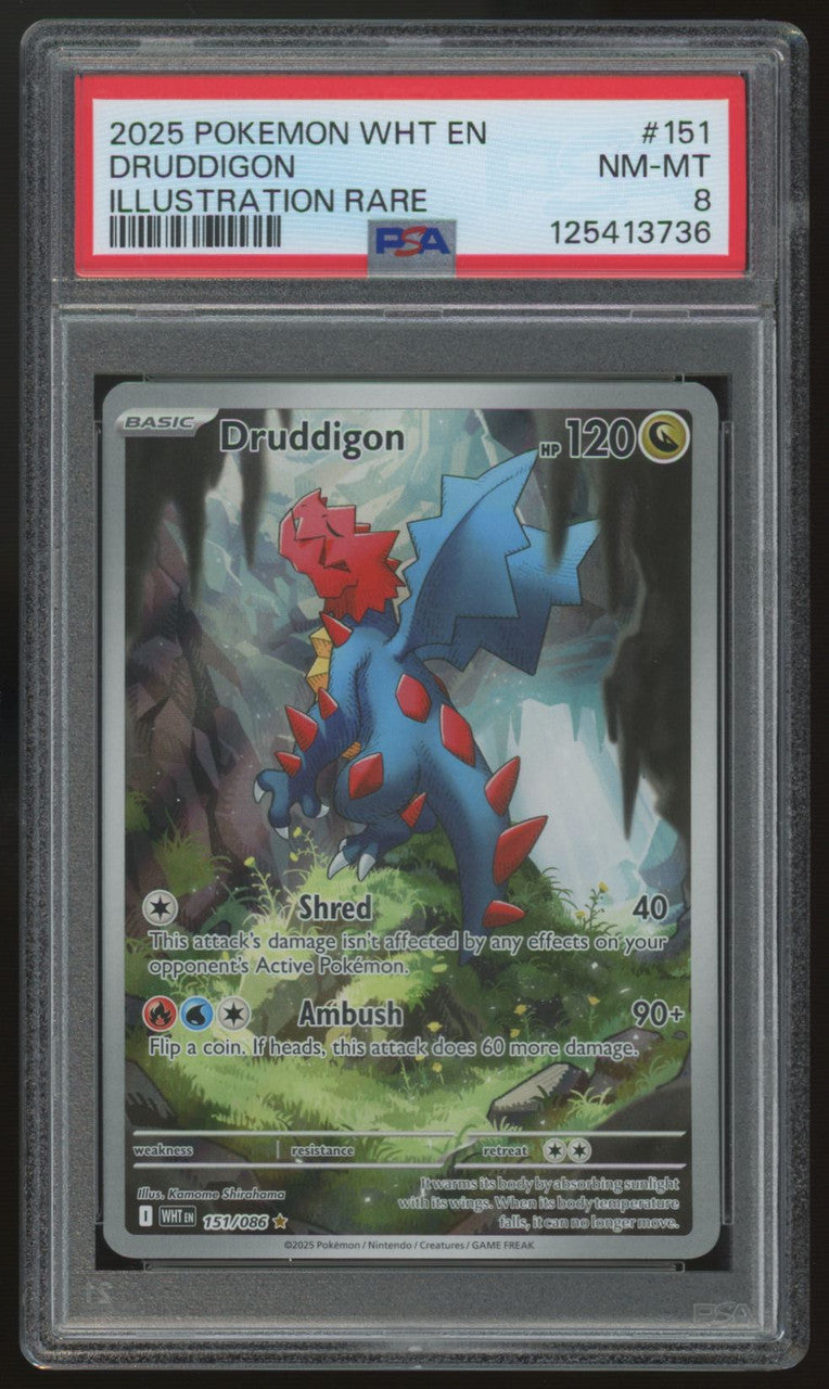2025 Pokemon Druddigon White Flare Illustration Rare #151 PSA 8