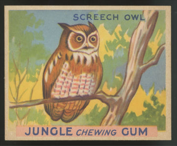 1930 R78 World Wide Gum Screech Owl Jungle Gum #59 NM