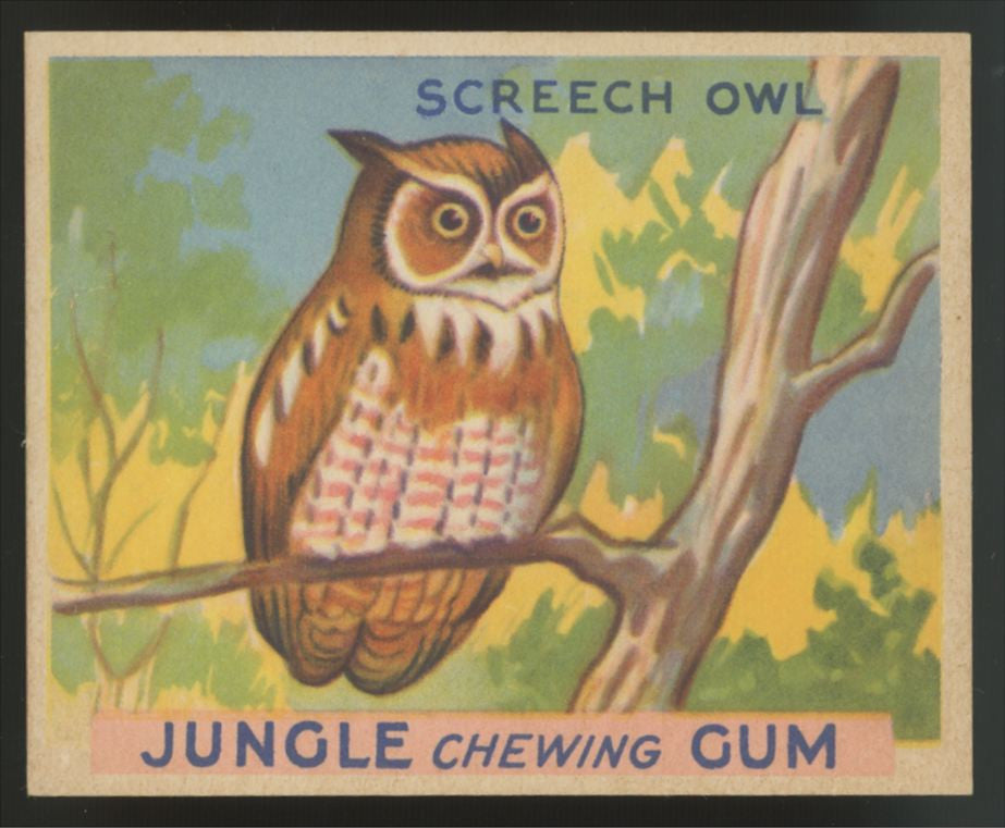 1930 R78 World Wide Gum Screech Owl Jungle Gum #59 NM
