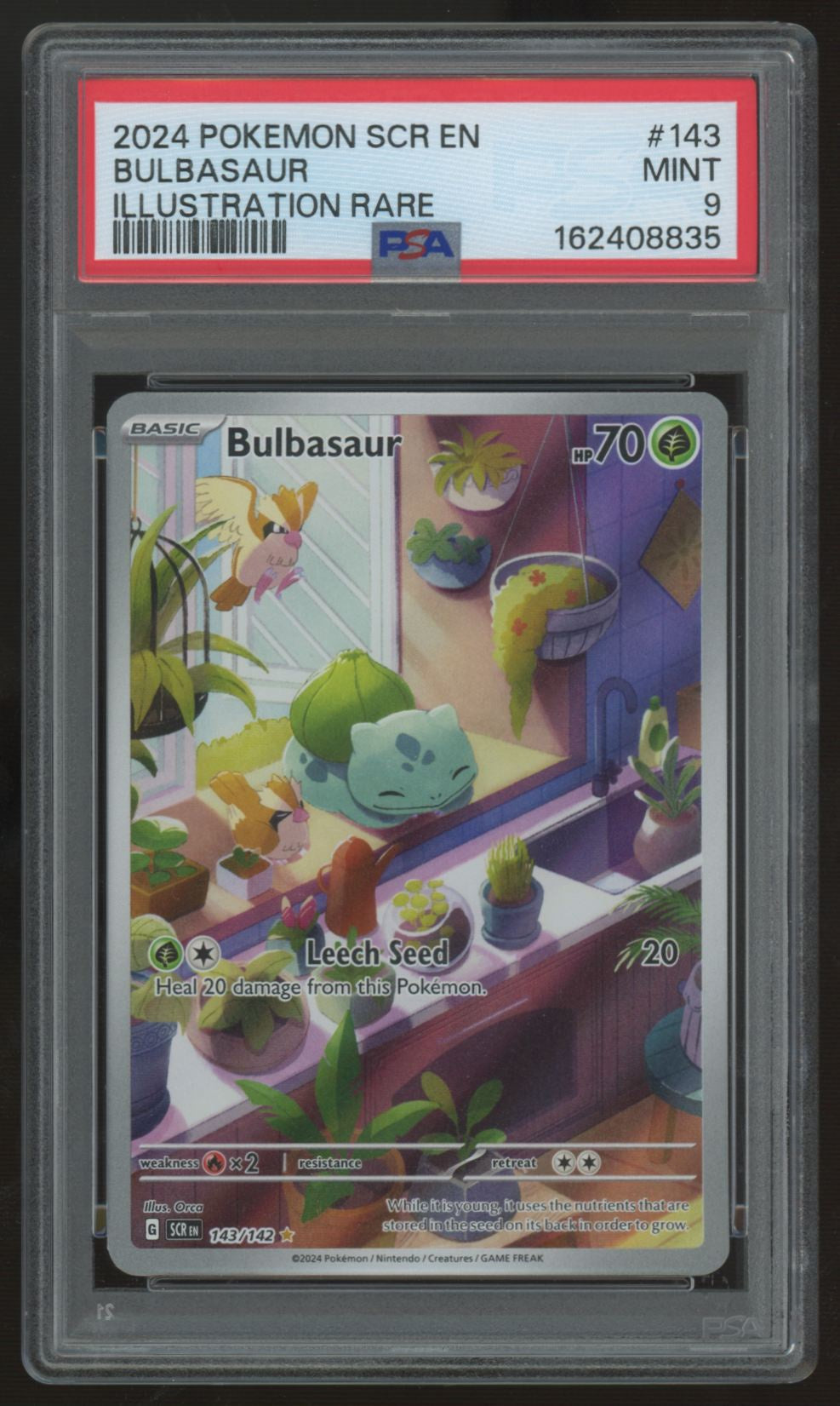 2024 Pokemon Bulbasaur Stellar Crown Illustration Rare #143 PSA 9 (C)