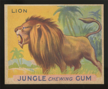 1930 R78 World Wide Gum Lion Jungle Gum #31 NM