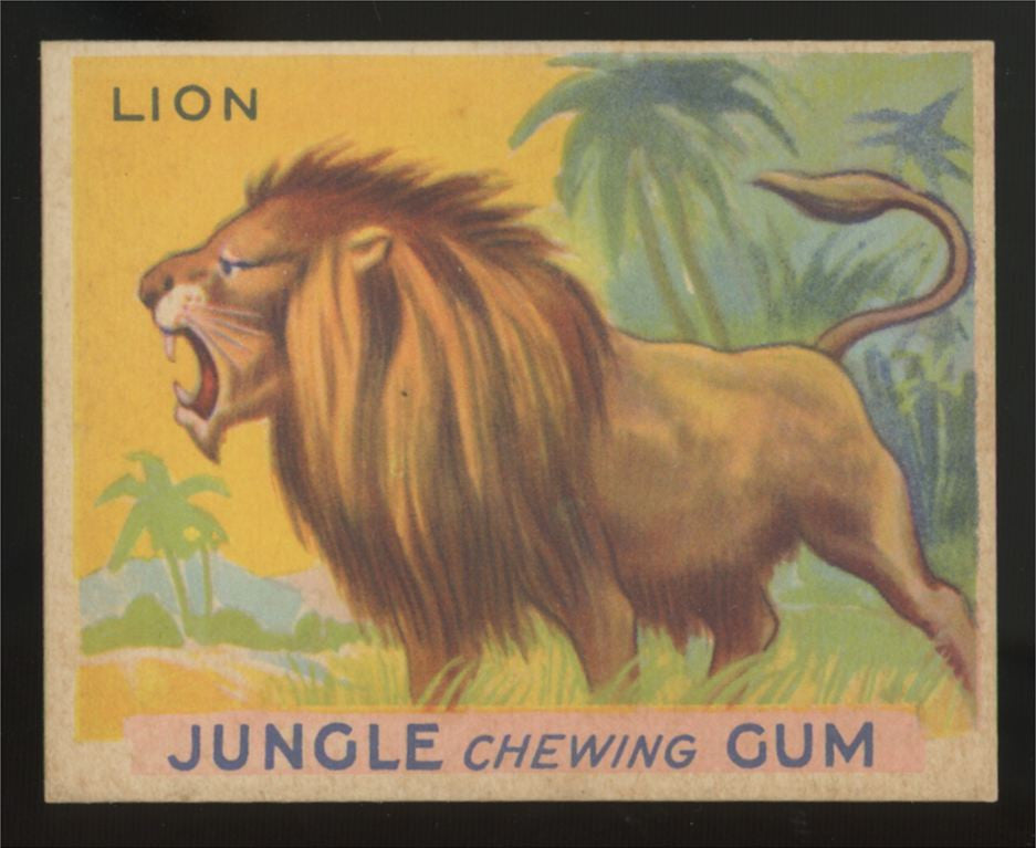 1930 R78 World Wide Gum Lion Jungle Gum #31 NM