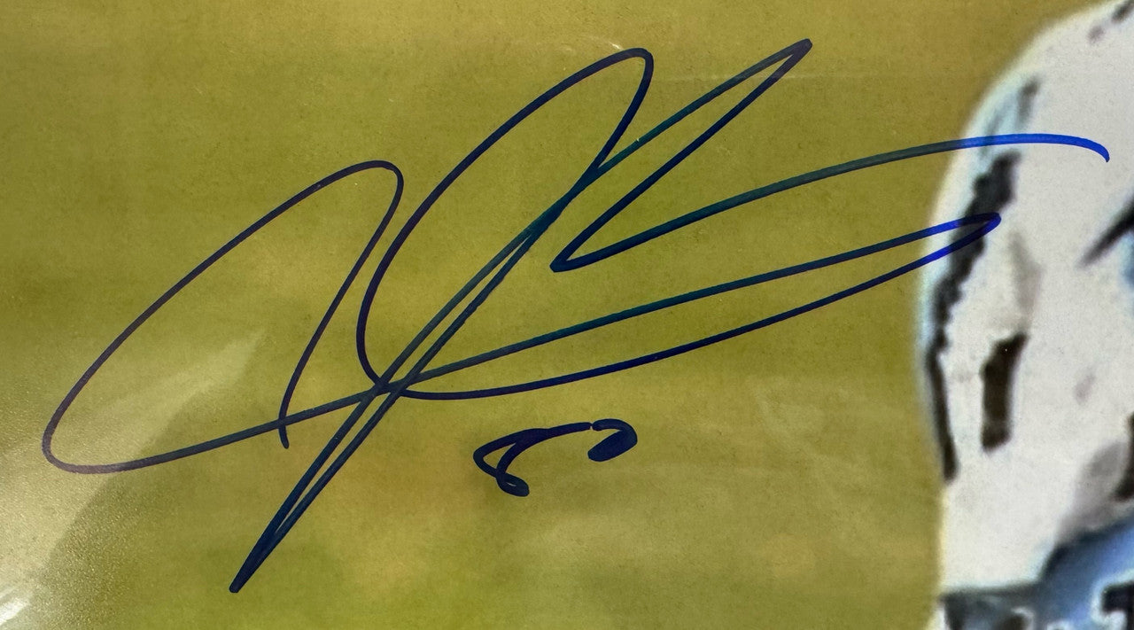 Andre Johnson Signed Autographed 16x20 Photo Punching JSA