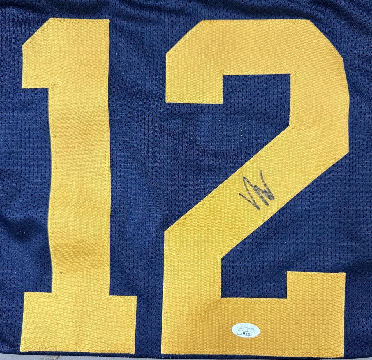 Josh Wallace Signed Autographed Custom Michigan Jersey JSA