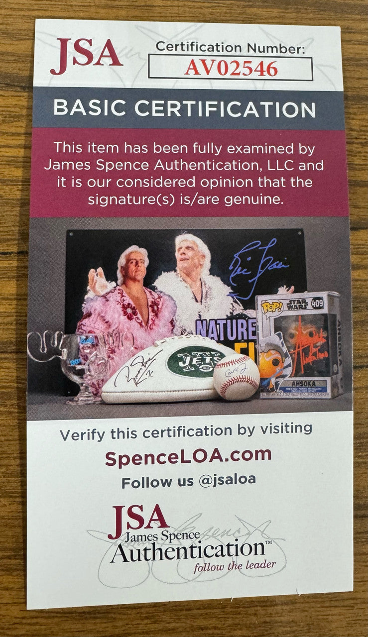 Mike Schmidt Signed Autographed Rawlings ONL Baseball JSA