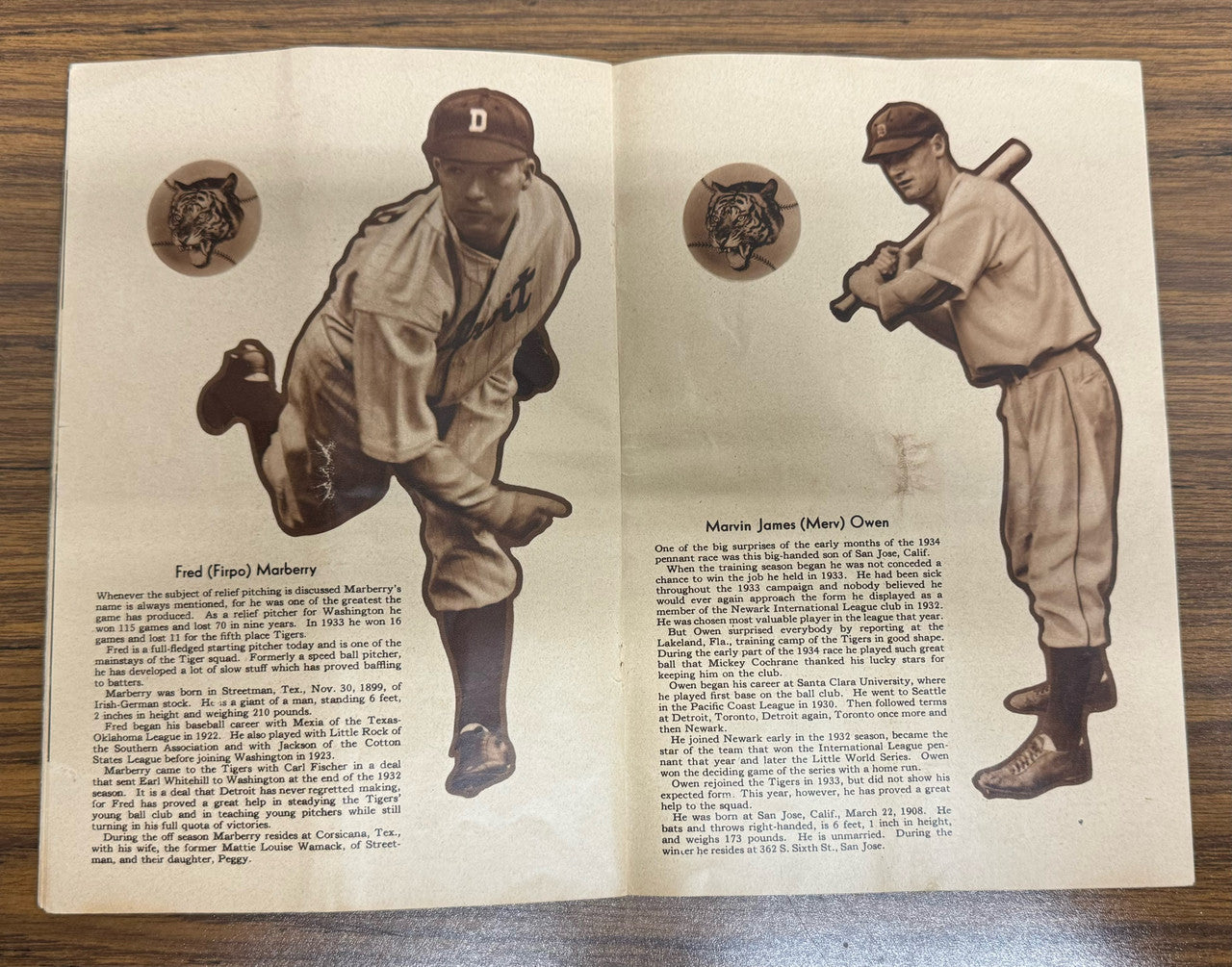 1934 Detroit Tigers In Picture Yearbook Cochrane Greenberg Gehringer