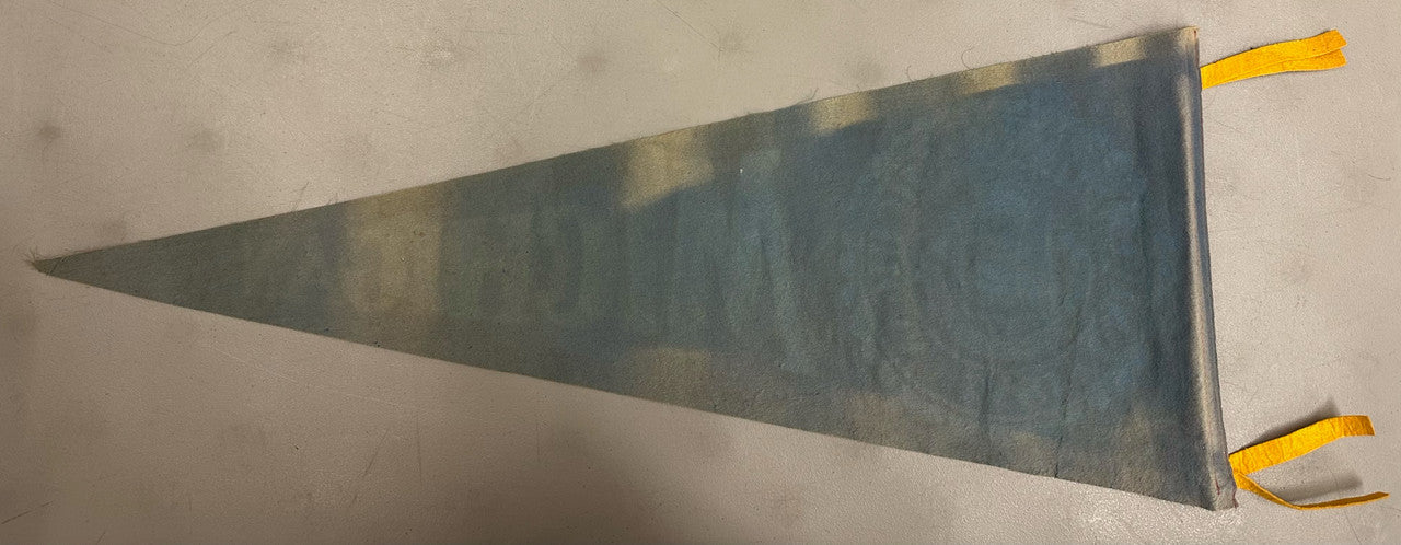 University of Michigan Pennant Vintage Blue/Gold