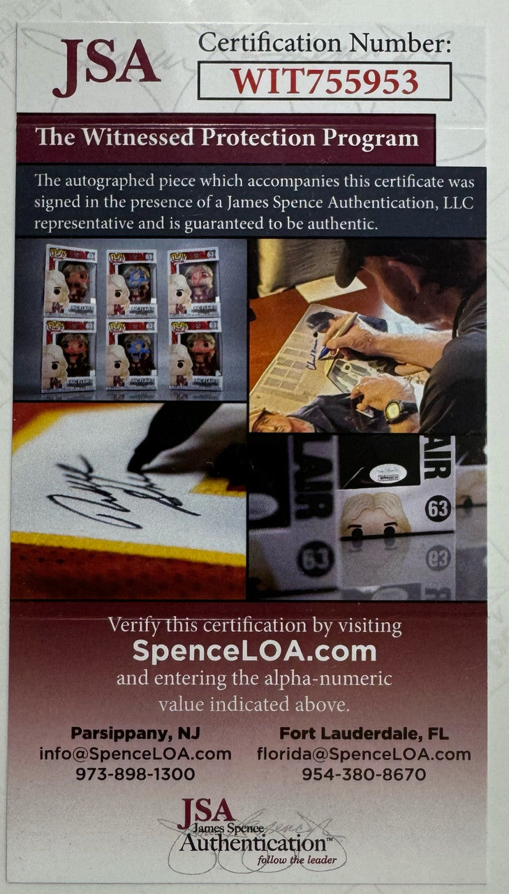 Andre Johnson Signed Autographed 16x20 Photo Punching JSA