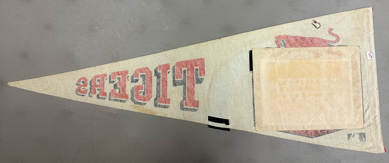 Detroit Tigers Pennant 1973 Photo