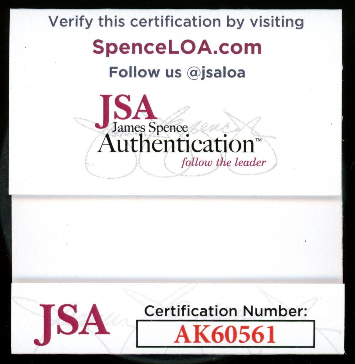 Steve Yzerman Signed Autographed Puck JSA AK60561