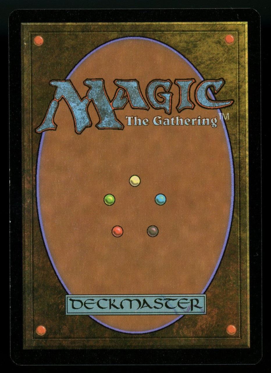 MTG Magic Misty Rainforest Zendikar Rising Expedition Foil #010/030 "B"