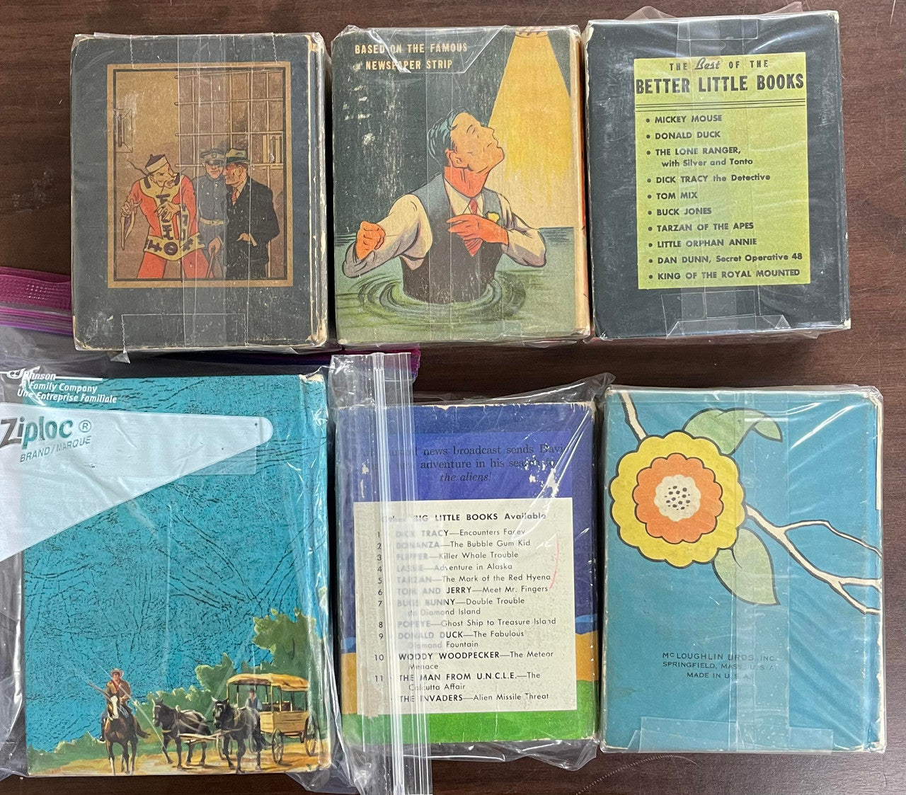 Vintage Big Little Book lot of 6 Dan Dunn Nature Stories Jim Bowie Monte Cristo