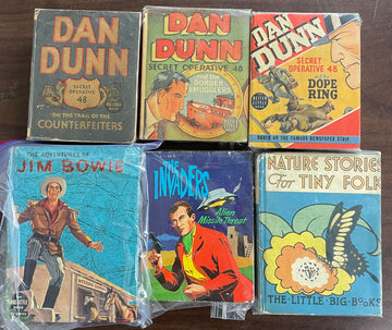 Vintage Big Little Book lot of 6 Dan Dunn Nature Stories Jim Bowie Monte Cristo